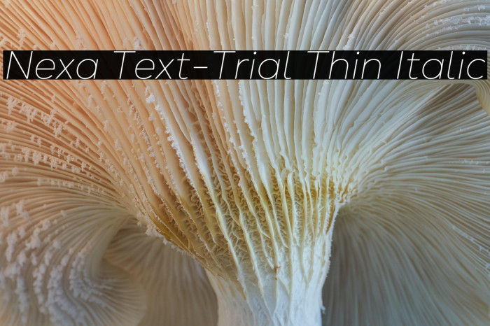 Nexa Text-Trial Thin Italic Example 2
