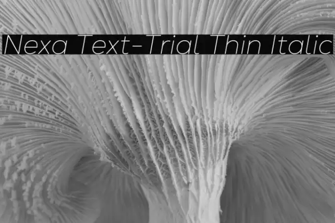 Nexa Text-Trial Thin Italic Font examples