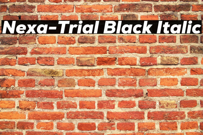 Nexa-Trial Black Italic Example 1