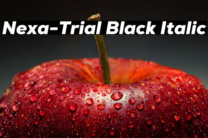 Nexa-Trial Black Italic Example 2