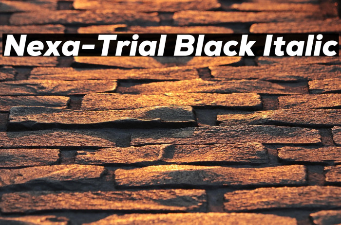 Nexa-Trial Black Italic Example 3