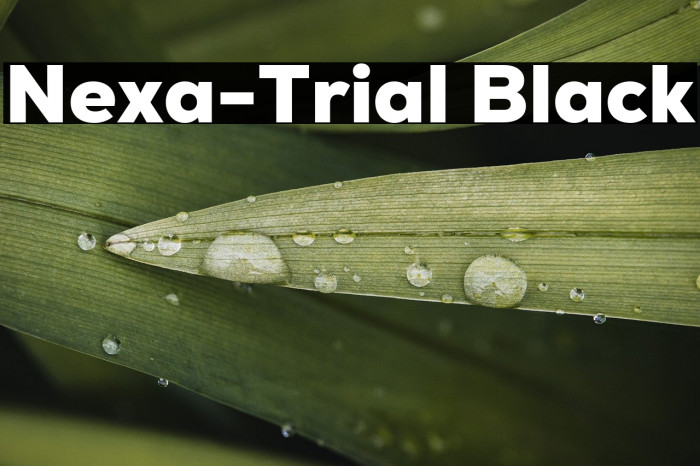 Nexa-Trial Black Example 2