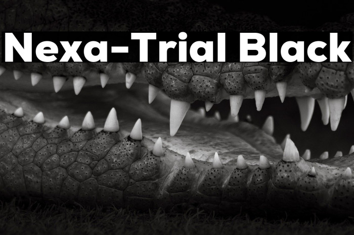Nexa-Trial Black Example 3