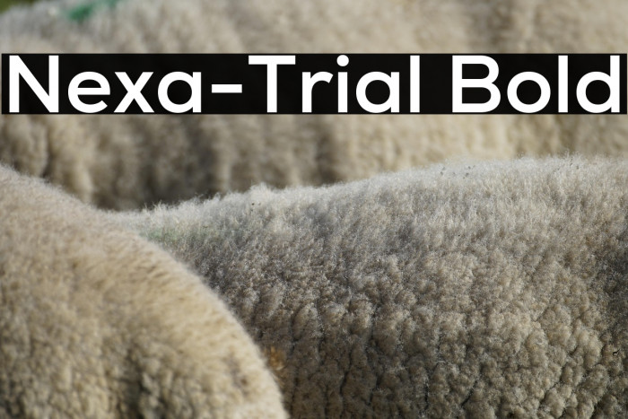 Nexa-Trial Bold Example 1