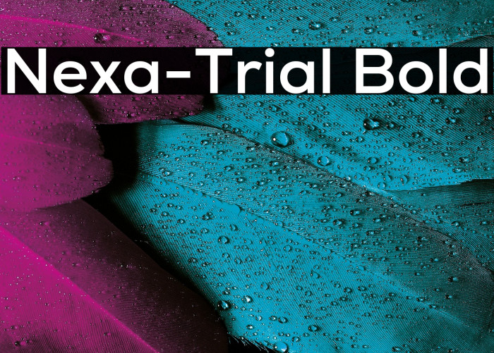 Nexa-Trial Bold Example 2