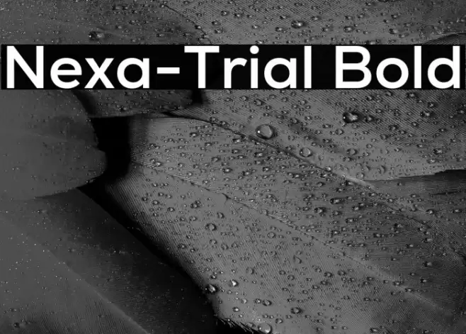 Nexa-Trial Bold Font examples