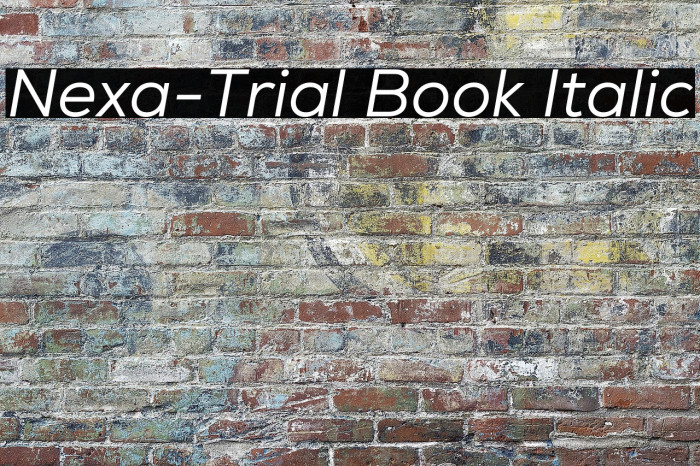 Nexa-Trial Book Italic Example 3