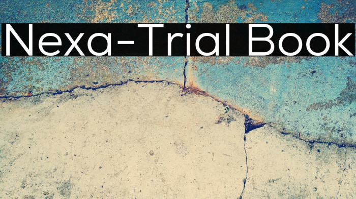 Nexa-Trial Book Example 1
