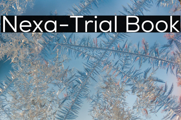 Nexa-Trial Book Example 3