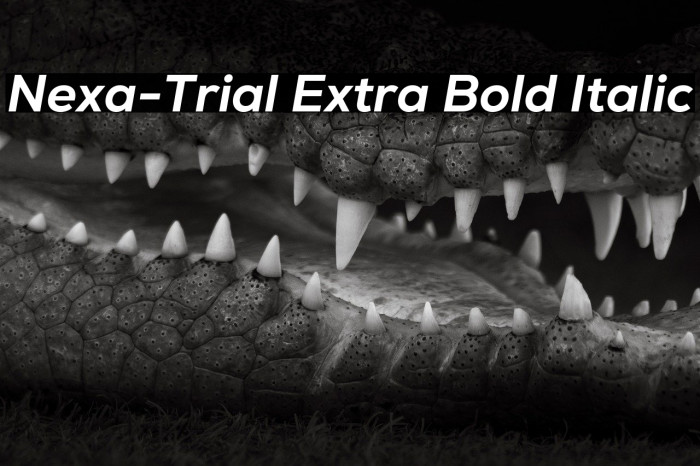 Nexa-Trial Extra Bold Italic Example 1