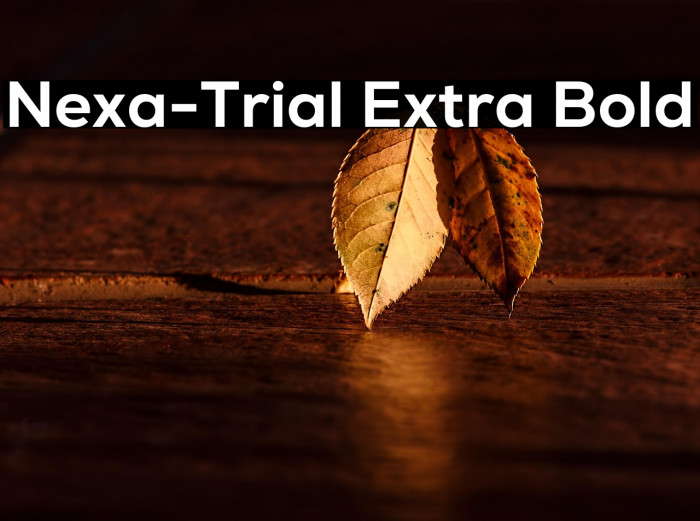 Nexa-Trial Extra Bold Example 1