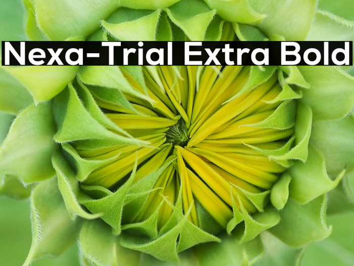 Nexa-Trial Extra Bold Example 2