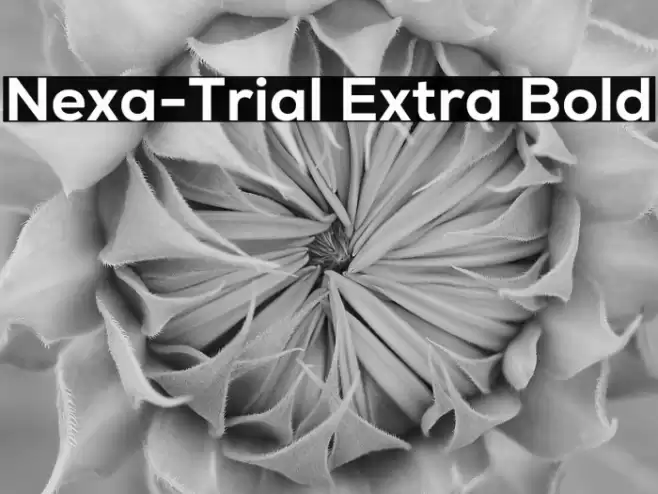 Nexa-Trial Extra Bold Font examples