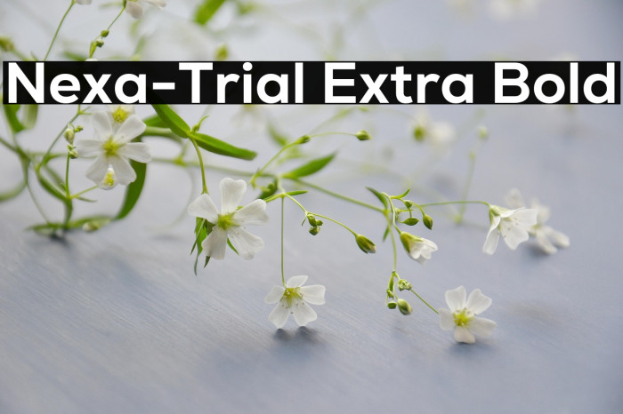 Nexa-Trial Extra Bold Example 3