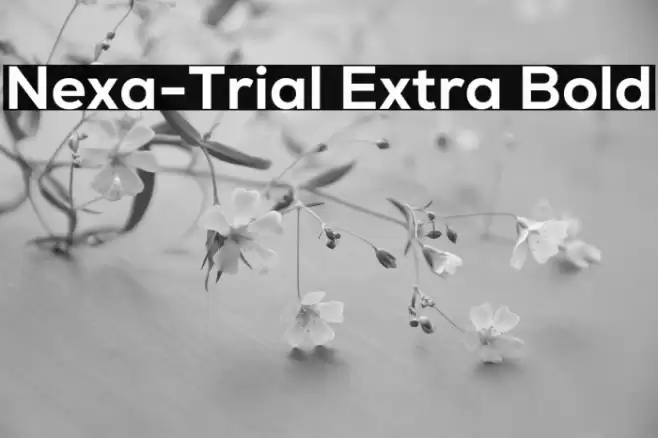 Nexa-Trial Extra Bold Font examples