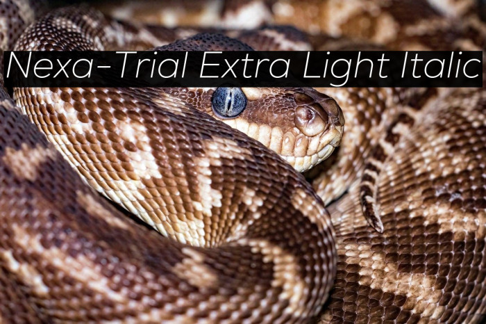 Nexa-Trial Extra Light Italic Example 2