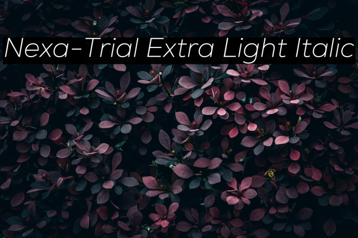 Nexa-Trial Extra Light Italic Example 3