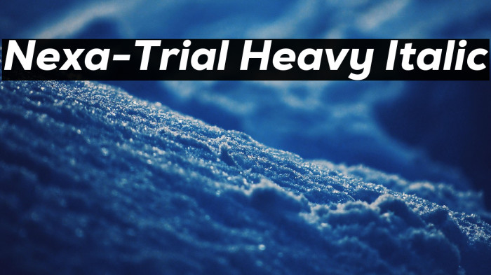 Nexa-Trial Heavy Italic Example 3