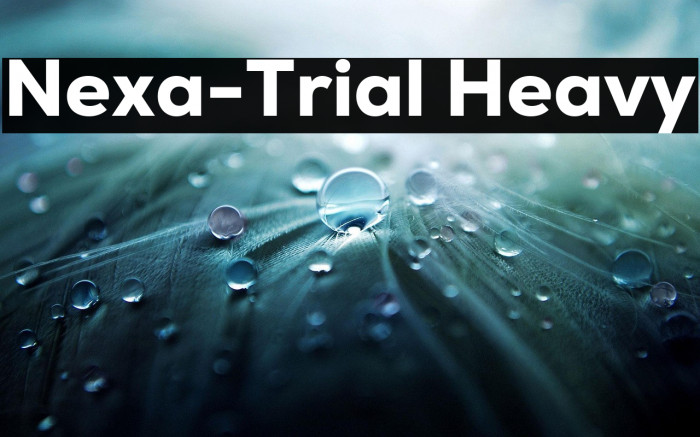 Nexa-Trial Heavy Example 1