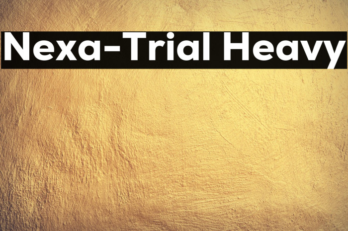 Nexa-Trial Heavy Example 2