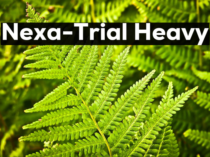 Nexa-Trial Heavy Example 3
