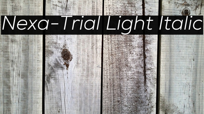 Nexa-Trial Light Italic Example 1