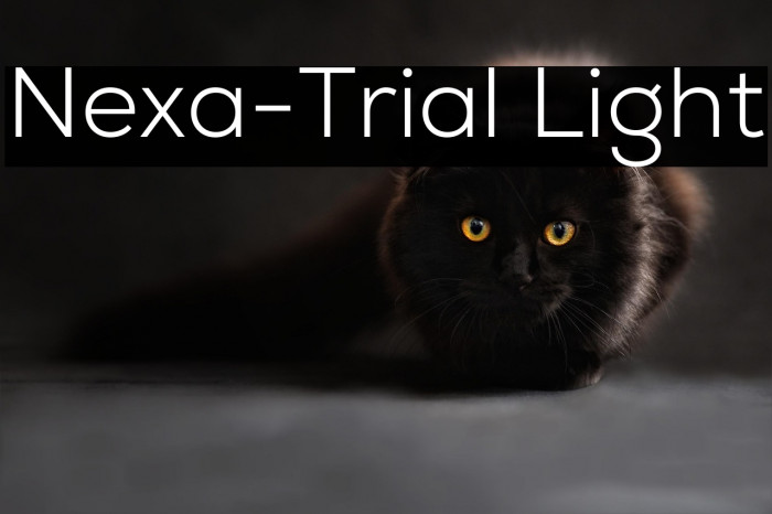 Nexa-Trial Light Example 1