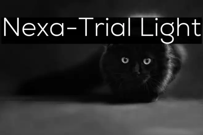 Nexa-Trial Light Example 1