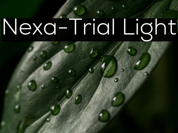 Nexa-Trial Light Example 2