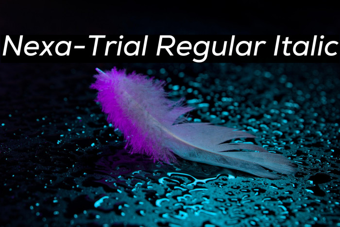 Nexa-Trial Regular Italic Example 2