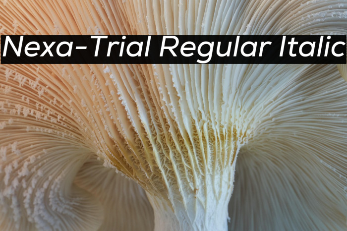 Nexa-Trial Regular Italic Example 3