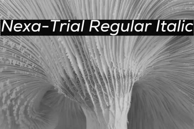 Nexa-Trial Regular Italic Font examples
