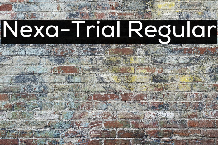 Nexa-Trial Regular Example 1