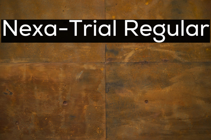 Nexa-Trial Regular Example 2