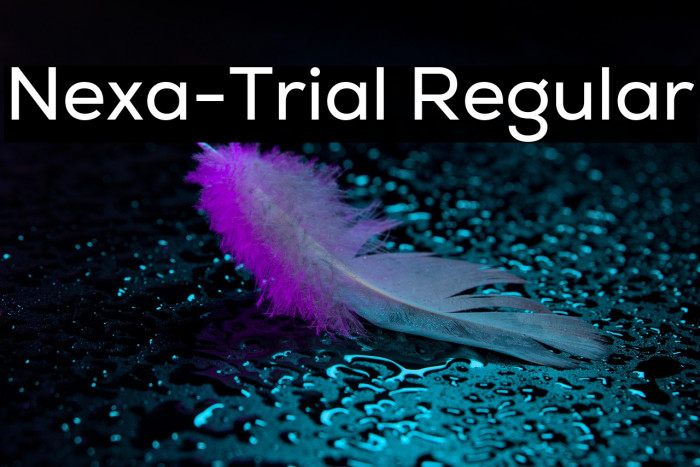 Nexa-Trial Regular Example 3