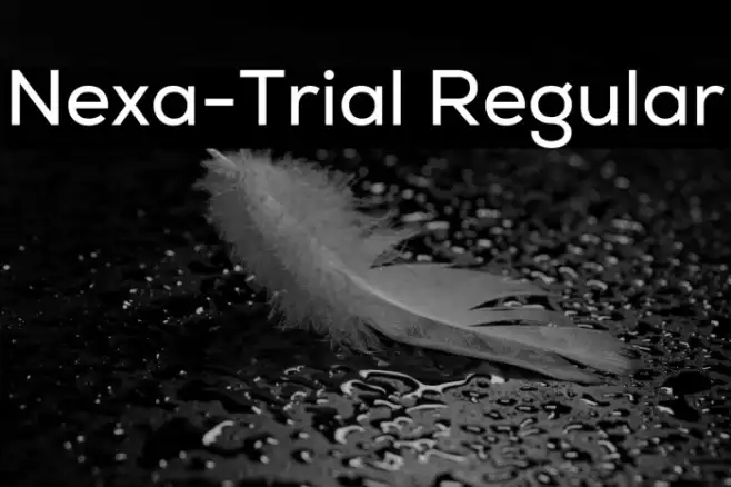 Nexa-Trial Regular Example 3