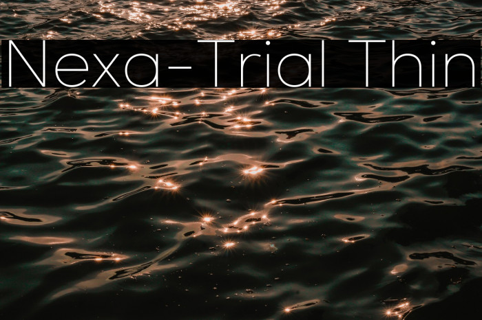Nexa-Trial Thin Example 3
