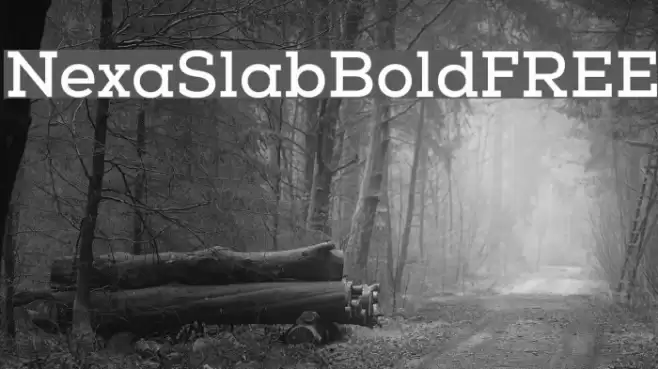 NexaSlabBoldFREE Font examples