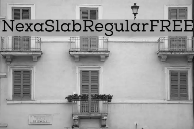 NexaSlabRegularFREE Example 1