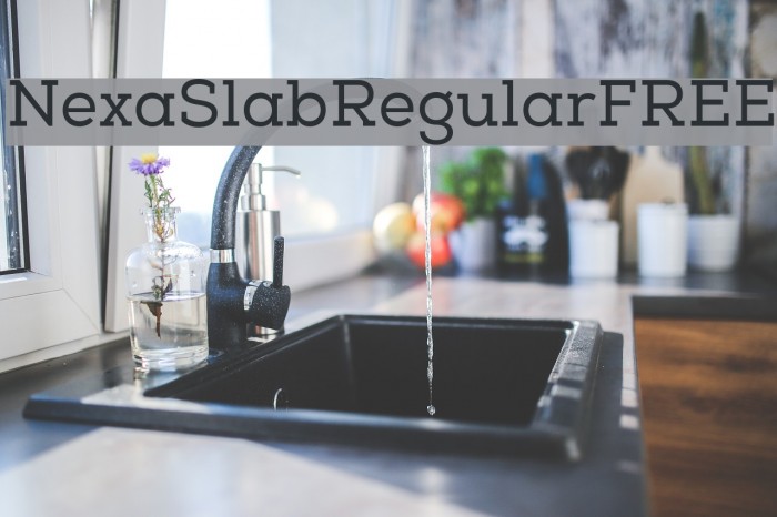 NexaSlabRegularFREE Font examples