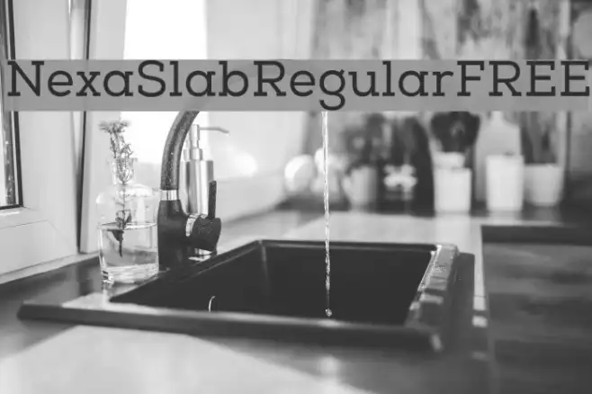 NexaSlabRegularFREE Example 2