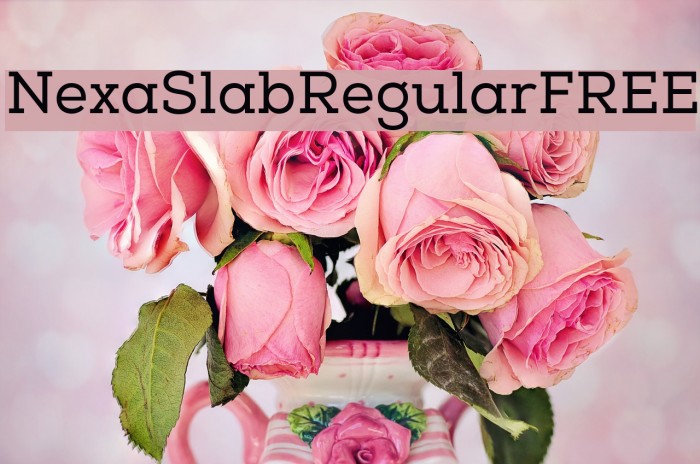 NexaSlabRegularFREE Font examples