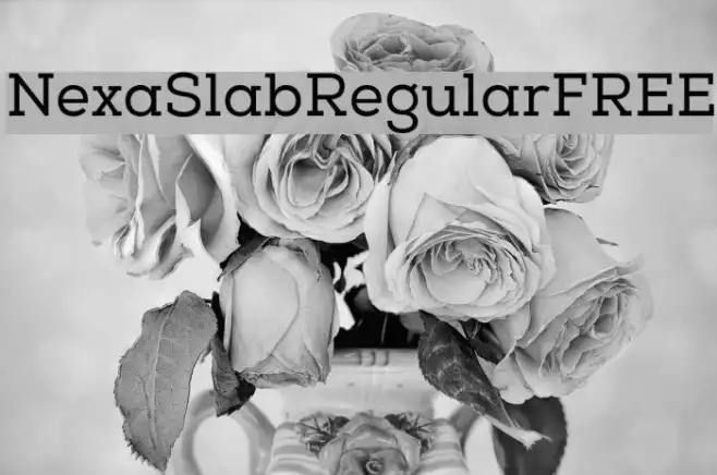 NexaSlabRegularFREE Example 3