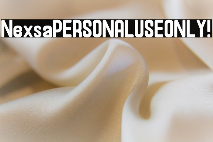 Nexsa PERSONAL USE ONLY! Example 1