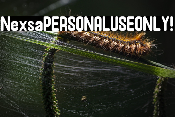 Nexsa PERSONAL USE ONLY! Example 3