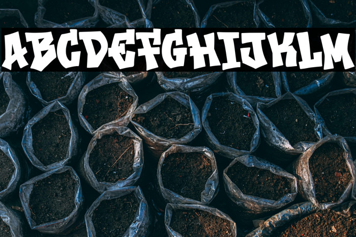 Next Bravo Example 2