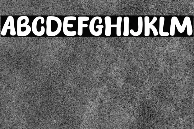 Next Bro Font examples