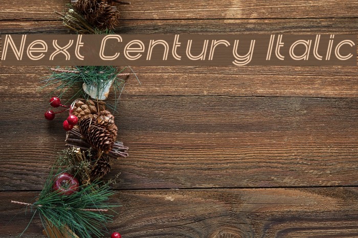 Next Century Italic Example 2