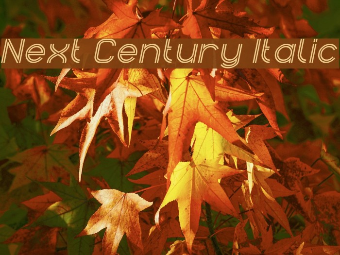 Next Century Italic Example 3