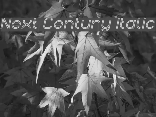 Next Century Italic Font examples